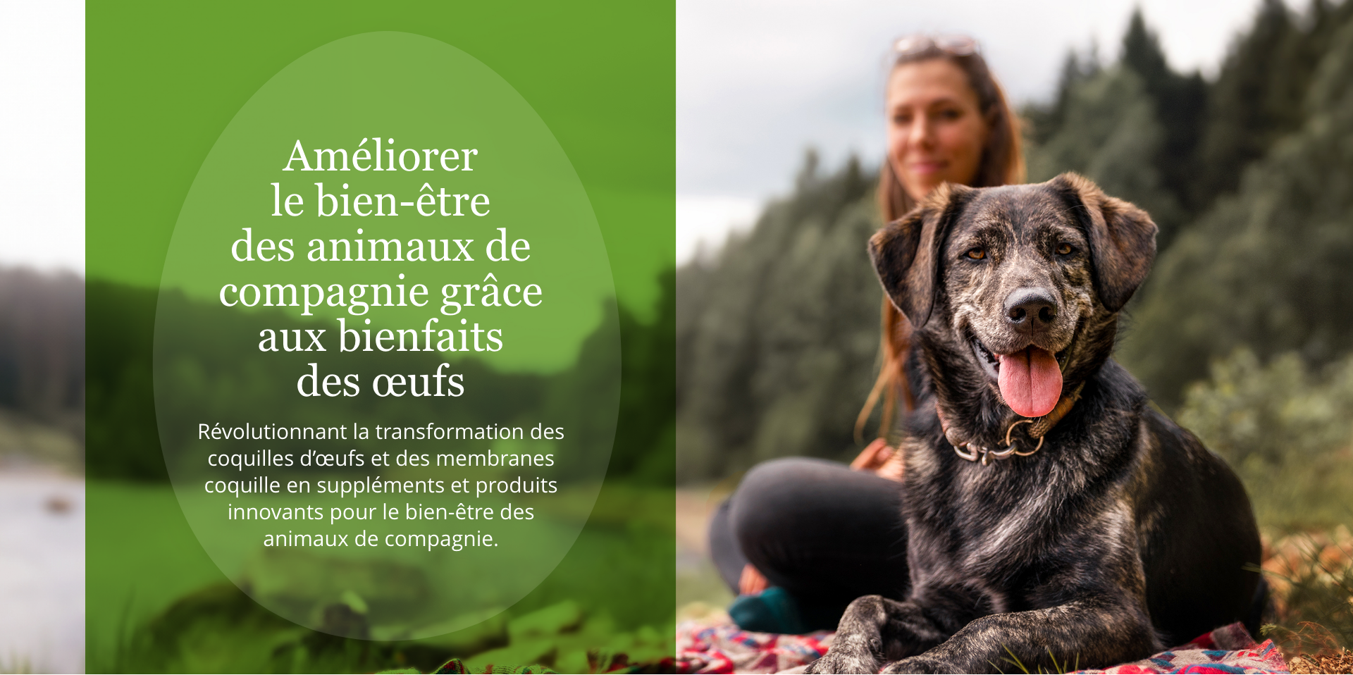 pet wellness